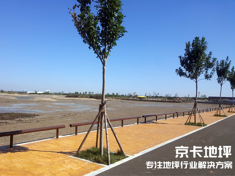 曹妃甸湿地公园艺术压模地坪.jpg