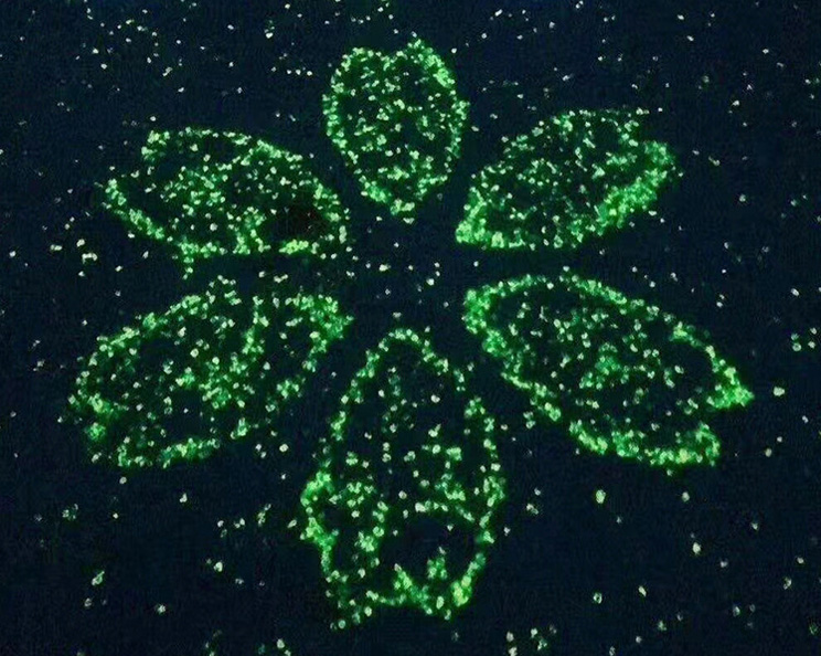 夜光石透水地坪